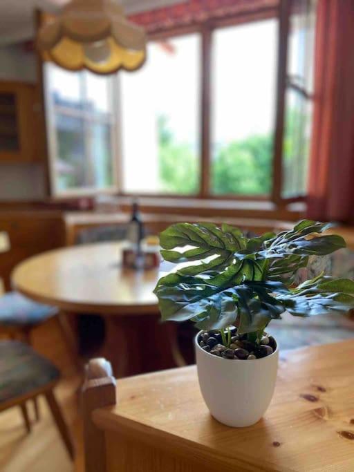 Zentrale Wohnung Gmunden Alte Baeckerei Buitenkant foto